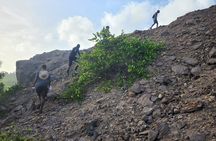 Five hour Day Pass: 3 Hour fun hike and challenges/Great experiences/Bajan Lunch