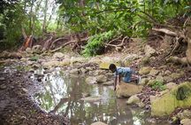Five hour Day Pass: 3 Hour fun hike and challenges/Great experiences/Bajan Lunch