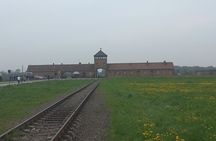 Full-Day Tour From Warsaw to Auschwitz (guided) and Krakow by car