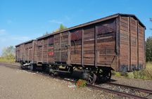 Full-Day Tour From Warsaw to Auschwitz (guided) and Krakow by car