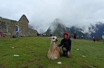 Machu Picchu Day Trip From Cusco By Panoramic Vistadome Train 