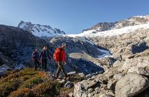 Whistler Guided Day Hiking