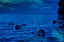 Guided Night Snorkeling in Roatan