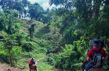 Horseback Riding Trail Tour, Roatan Letters and Ocean in Flowers Bay