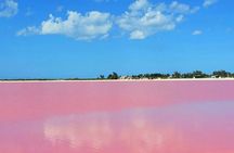 Las Coloradas & Río Lagartos with boat & Lunch from Mérida