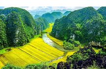  Bai Dinh Pagoda - Trang An - Hoa Lu - Tam Coc 2 Days - 1 Night