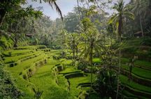 Ubud Memorable Trip 