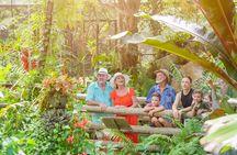 Adventure on a Budget Visit Kuranda or Palm Cove from Pt Douglas