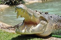 Central Coast Private Day Tour | Beaches, Bays and Wildlife & Reptile Park Entry