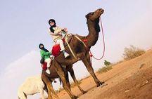 Private 1-Hour Camel Ride in Marrakech with Sunset and Tea pause
