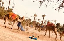 Private 1-Hour Camel Ride in Marrakech with Sunset and Tea pause