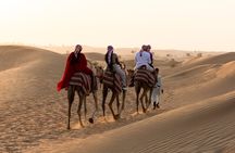 Private Morning Safari with Camel Ride and Sand boarding 