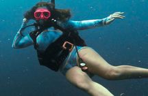 Get SCUBA Certified at San Juan