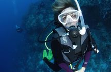 Get SCUBA Certified at San Juan