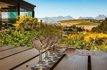 Constantia half day wine tasting tour