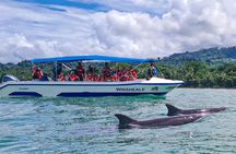 Whale Watching at the Marino Ballena National Park 