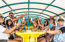 Clearwater Island Hop and Dolphin Watch with Swimming