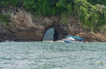 Whale Watching at the Marino Ballena National Park 