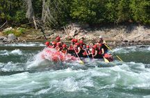Family Friendly Whitewater Rafting