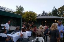Natural wine tasting with great views