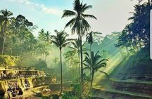 ATV Ride & Ubud Tour