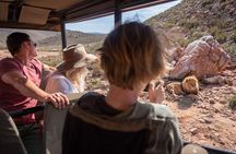 Big Five Safari Experience Near Cape Town ,South Africa