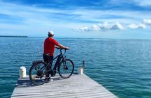 Small Group E-Bike Grand Cayman Ecological Half-Day Tour