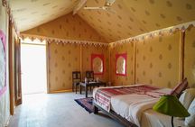 A Night in Thar Desert – Unforgettable Luxury Camel Safari