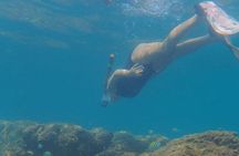 Snorkeling San Carlos with a Marine Biologist