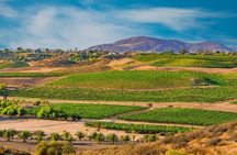 Temecula's Rancho California Wine Tour