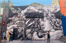 3 Hours Private Street Art Tour in La Boca and Barracas