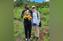Tour a Jamaican Farm
