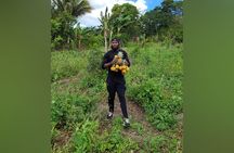 Tour a Jamaican Farm