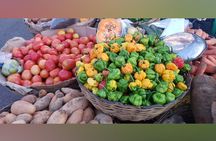 Tour a Jamaican Farm