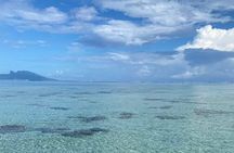 Want to escape? Treat yourself to a snorkeling session in Tahiti!