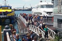 Robben Island Museum Stellenbosch Wineries Plus Ferry Ticket F/D