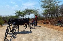 Premium Delhi Aravalli Organic Cycle Tour - A glimpse of Real and Rural India