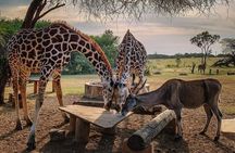 Private Full Day Day Trip to Mombasa City
