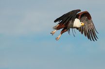 Boat & Safari Combo - Blyde Dam Boat Cruise & Private Safari