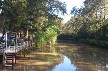 Delta Tigre Day tour from 11:30am with navigation and transfer from your hotel