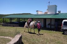 Equestrian Experience in the North of Cordoba