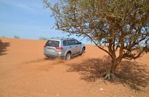 Wild National Park & Sahara Desert including Couscous & Tajine