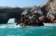 Full day tour in Ballestas Islands Ica Huacachina from Paracas