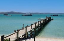 Cape West Coast Flower Tour