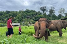 Full Day Experience at Ran-Tong Save & Rescue Elephant Centre