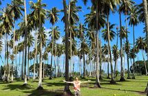 Unique Tahiti tour to Teahupoo, small group, full day combo tour