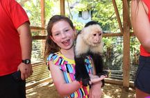 Sloths Roatan Island Tour with Beach Break & Port Pick Up