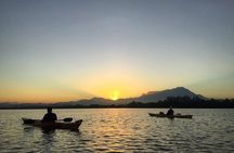 Mangrove Kayaking Experience in Borneo