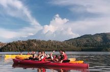 Mangrove Kayaking Experience in Borneo