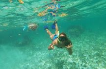 Snorkeling Adventure in Puerto Morelos